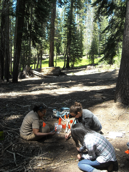 Berhe with grad student Rebecca and Undergrad student Laura at the Kings River Experimental Watershed, Southern Sierra Nevada