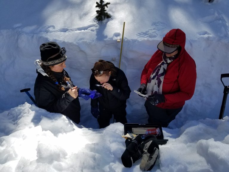 Photo Credit: PROGRESS Team Member